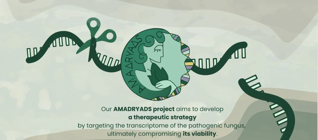 ΠΑΡΙΣΙ 2025: ΧΡΥΣΗ Η ΟΜΑΔΑ iGEM IOANNINA