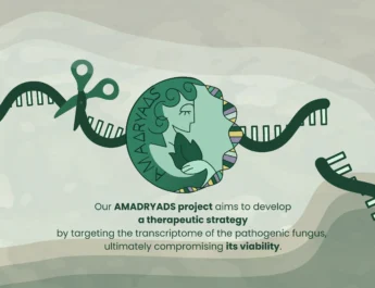 ΠΑΡΙΣΙ 2025: ΧΡΥΣΗ Η ΟΜΑΔΑ iGEM IOANNINA